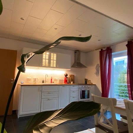 Moderne Ferienwohnung Seeblick Freudenberg  Buitenkant foto